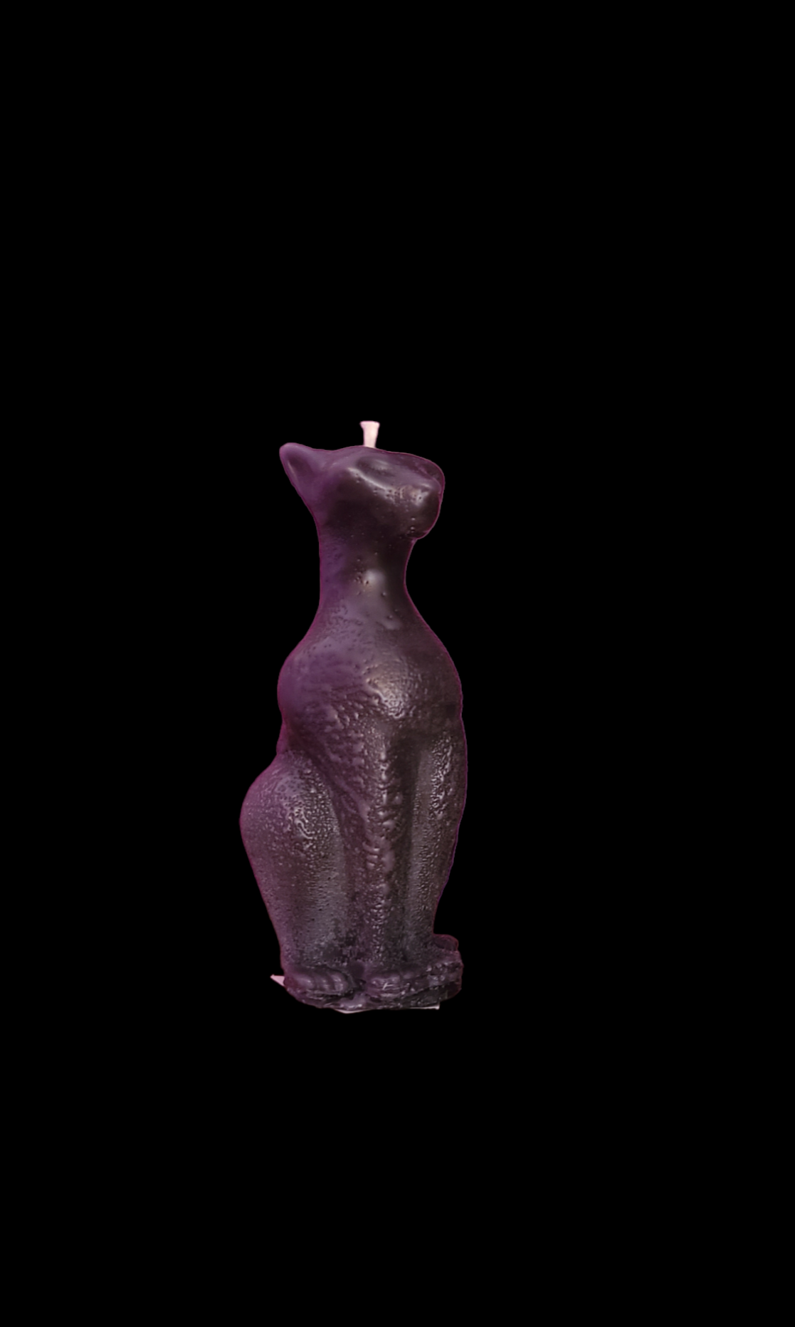 Large Cat candle