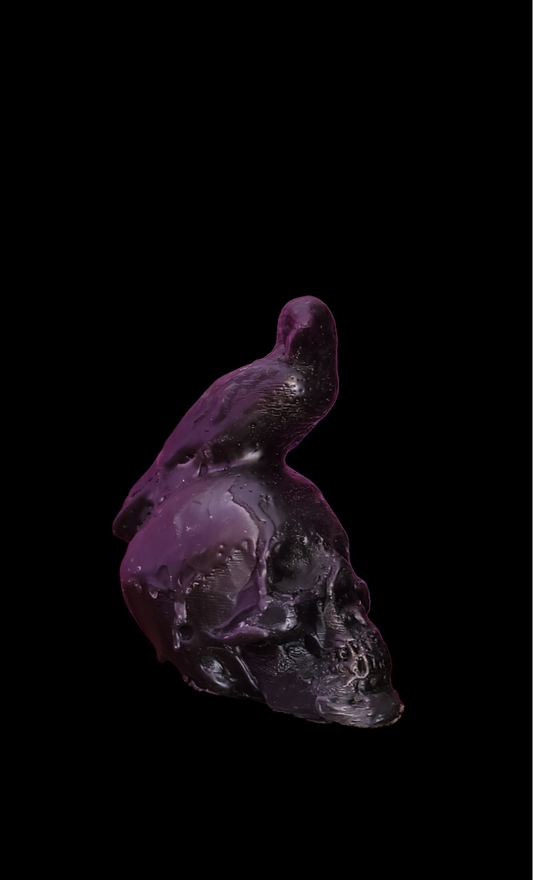 Skull Raven candle